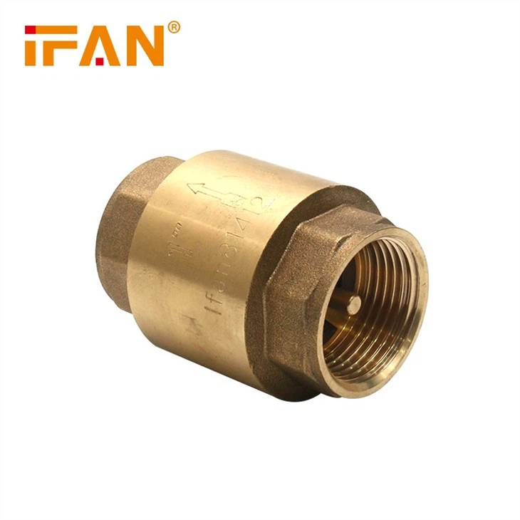 brass vertical check valve